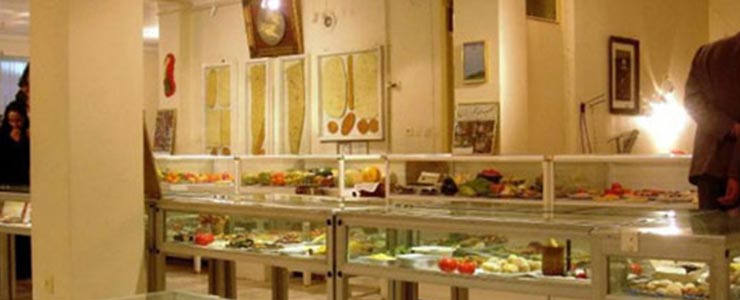 موزه مجسمه های خوراکی تبریز