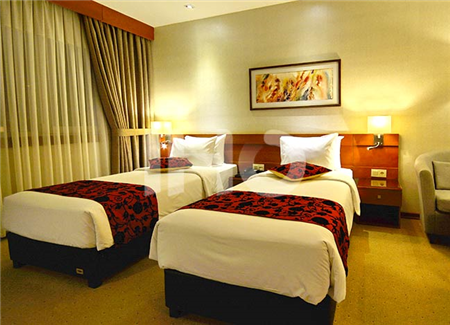 اتاق دو تخته توئین هتل الیزه شیراز