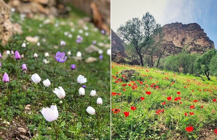 کوهدشت کجاست؟