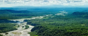 10 جنگل بارانی برتر جهان