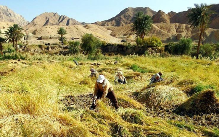 روستای ازمیغان