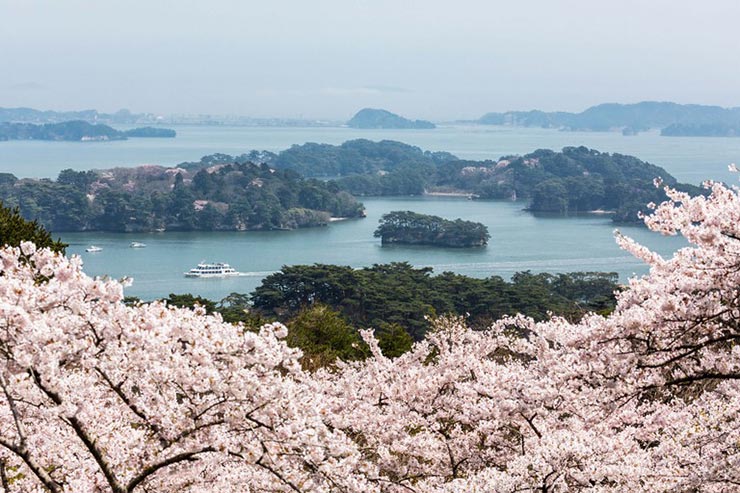  beauty of Matsushima Bay