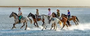 جذاب ترین مقاصد گردشگری برای دوستداران اسب و اسب سواری
