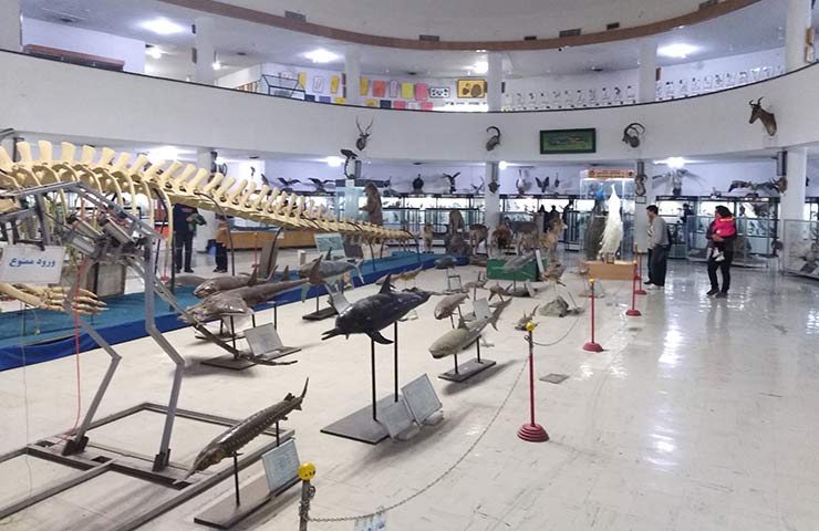 موزه تاریخ طبیعی و تکنولوژی شیراز