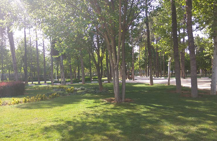 پارک مروارید شیراز