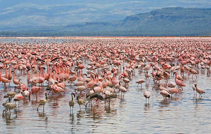 دریاچه زیبای ارومیه در گذشته 