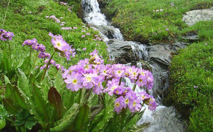 ییلاق سیلوانا از جاهای دیدنی ارومیه