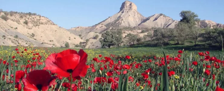 پارک جنگلی ششدار ایلام، طبیعتی از جنس آرامش