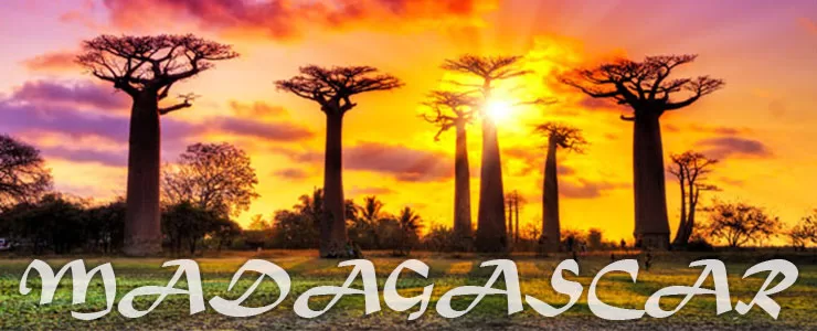 ماداگاسکار جزیره ای متفاوت در جهان
