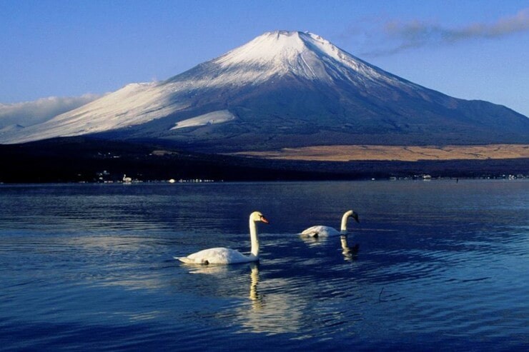 Fuji