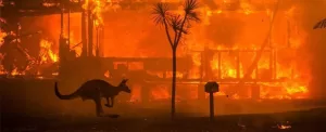 آتش سوزی استرالیا، نفس‌های زمین به شماره افتاده است!