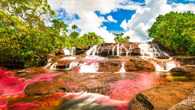 Caño Cristales