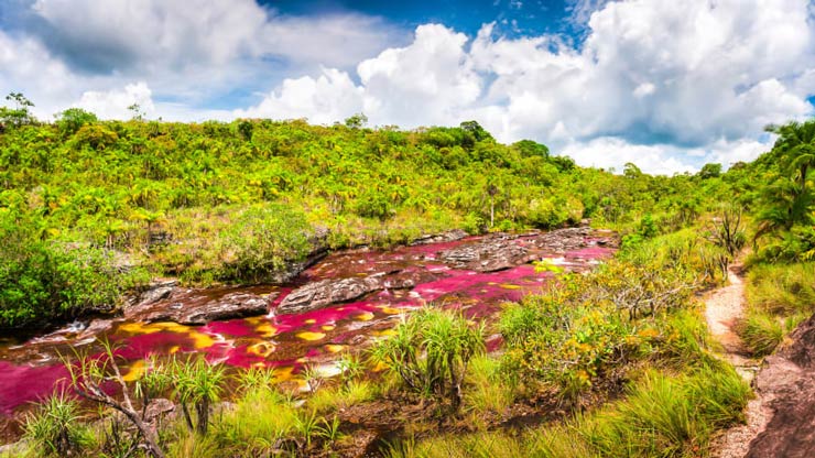 Caño Cristales