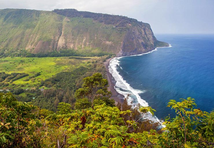 (Waipio Valley Lookout