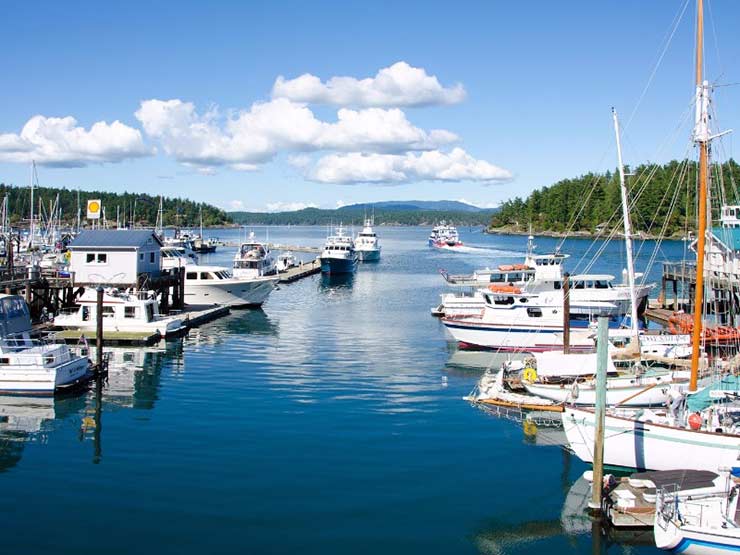 Friday Harbor