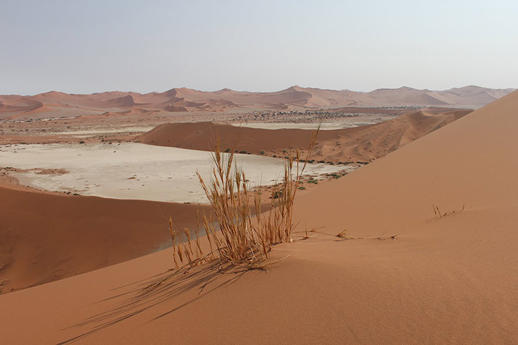 Omaanda Namibia