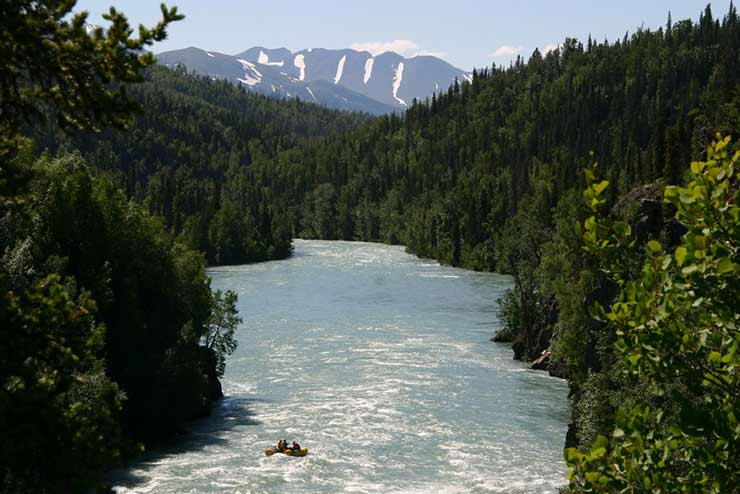 Wild Alaska Explorer, Alaska Wildland Adventures