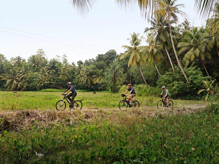 Discover Sri Lanka – Temples, Tea Trails, and Safari, REI Adventures