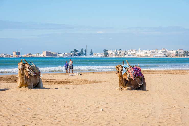 Essaouira Beach