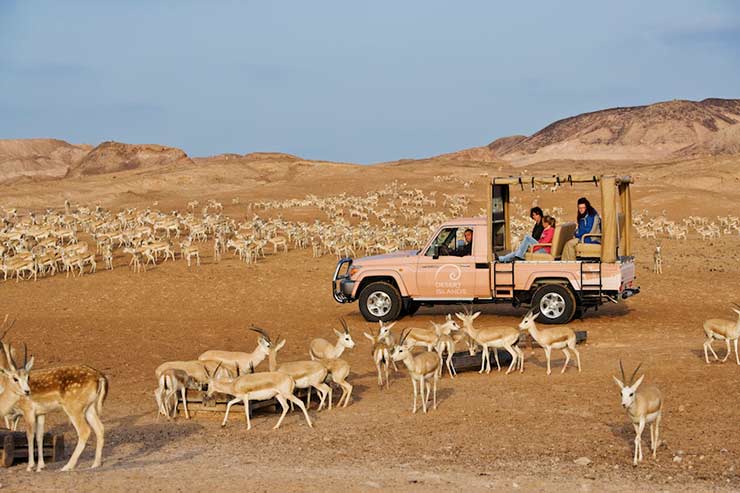 Sir Bani Yas