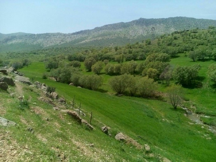 روستای چمنار