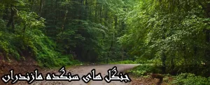 جنگل های سنگده  یاقوتی درخشان در نقشه ایران