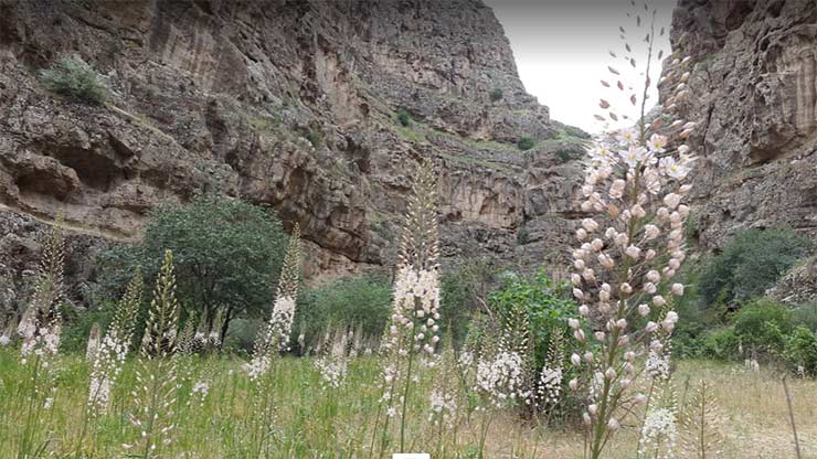 دره شمخال درگز