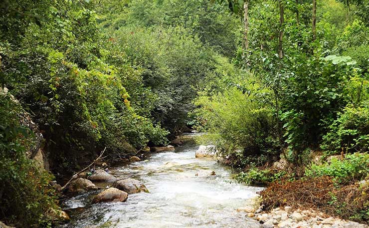 جشن زغال‌اخته روستای هیر قزوین