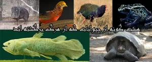 هشت گونه از حیوانات که از مرگ برگشته اند