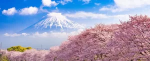 نکات و توصیه های سفر به ژاپن