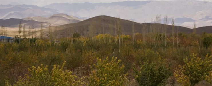 روستای سیرچ کرمان، زیبایی در دل کویر