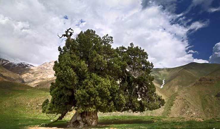 شهرستانک، جلوه گاه خوش رقصی پاییز 16 شهرستانک