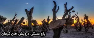 باغ سنگی درویش خان کرمان؛ راز سر به مهر قلبی سبز