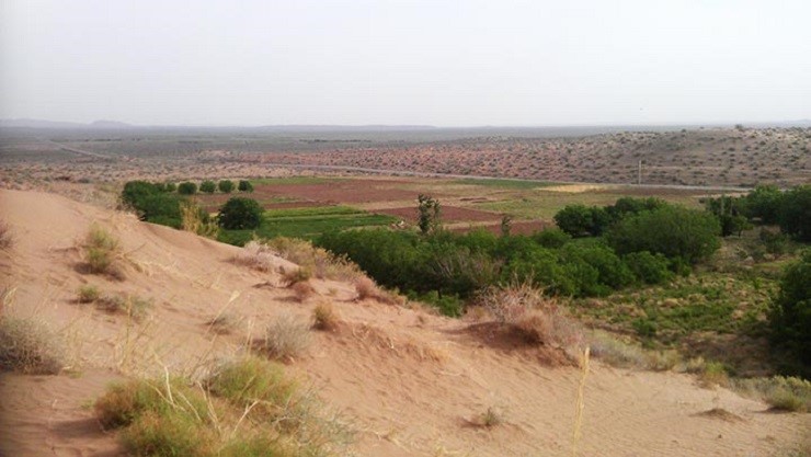 نمایی از پوشش گیاهی کویر خارتوران