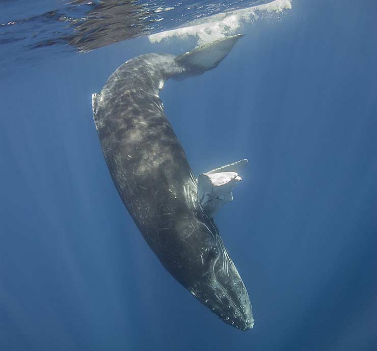 9. San Lorenzo Marine Archipelago National Park