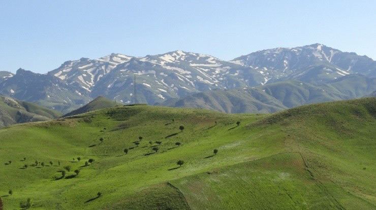 کوه چهل چشمه