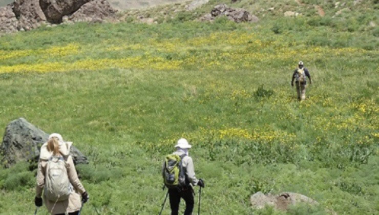 کوه چهل چشمه