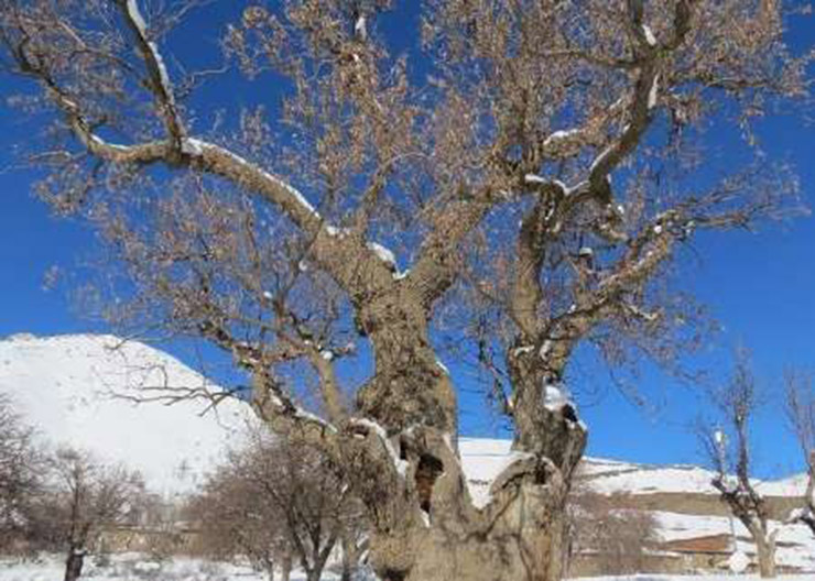 روستای هفتاش 