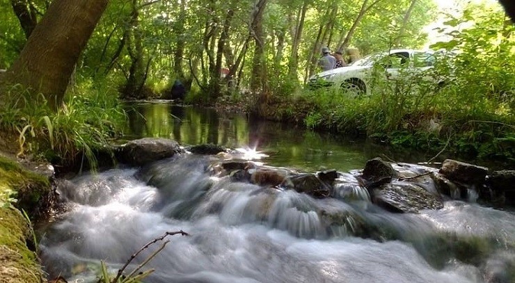 پارک ملی تندوره 