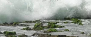موج فشان چابهار در ساحل دریا بزرگ چابهار