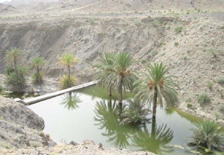 1683366809 712 منطقه ی حفاظت شده ی باهوکلات سیستان و بلوچستان