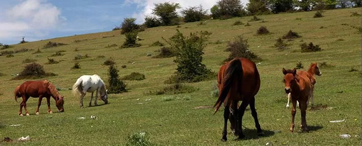 10 تجربه غیر توریستی برتر در ایران