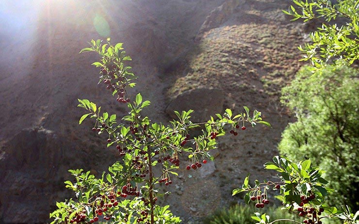 روستای آهار تهران