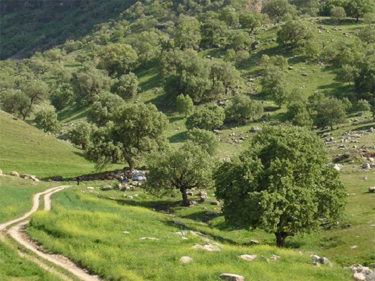 استان کهگیلویه و بویراحمد 7 دهدشت