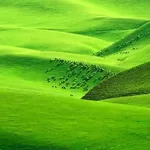 قزقان دره درگز