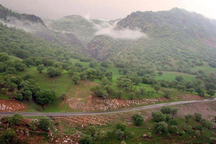 کوه بانکول