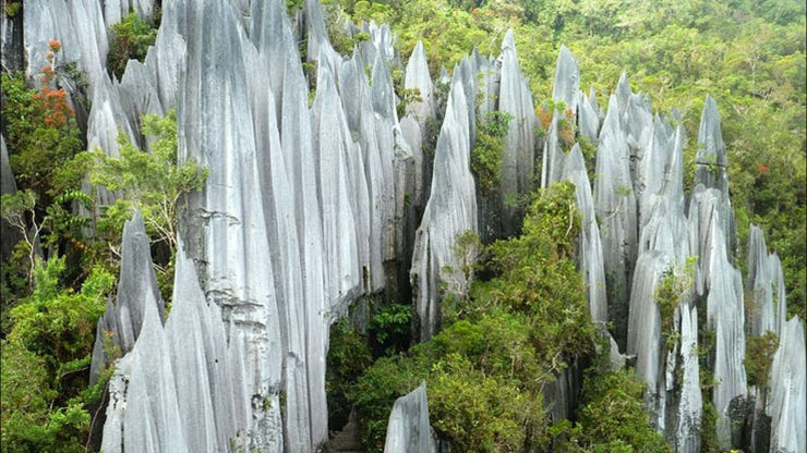  GUNUNG MULU PARK ملی، مالزی