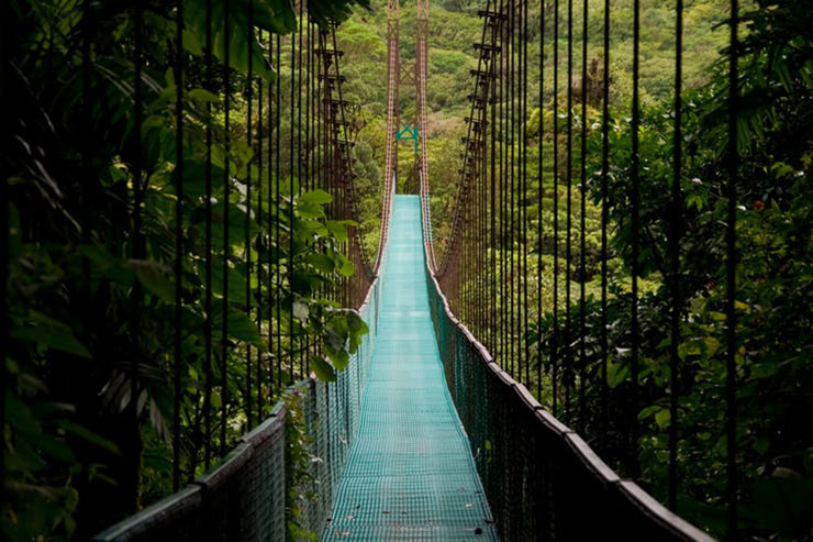 MONTEVERDE CLOUD FOREST، کاستاریکا