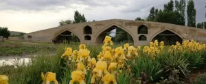 پل میر بهاءالدین زنجان، تاریخی و استوار