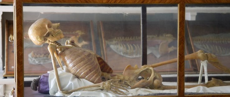 موزه آناتومی بیماری در بروكلین